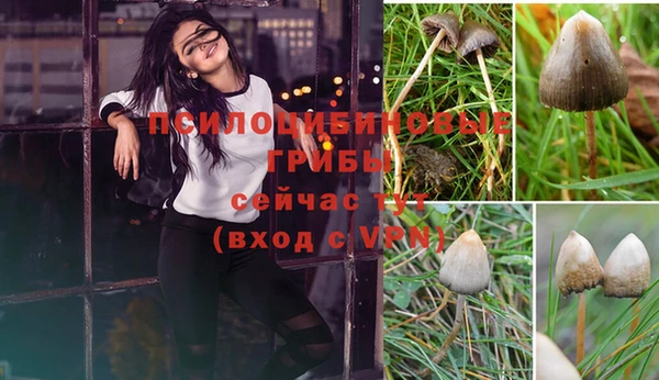 гашик Остров
