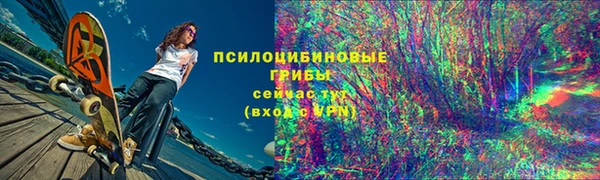 молекула духа Ветлуга