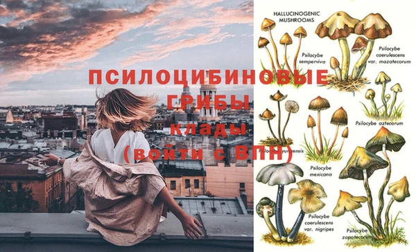 не бодяженный Осинники