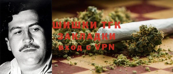 ГАЛЛЮЦИНОГЕННЫЕ ГРИБЫ Новодвинск