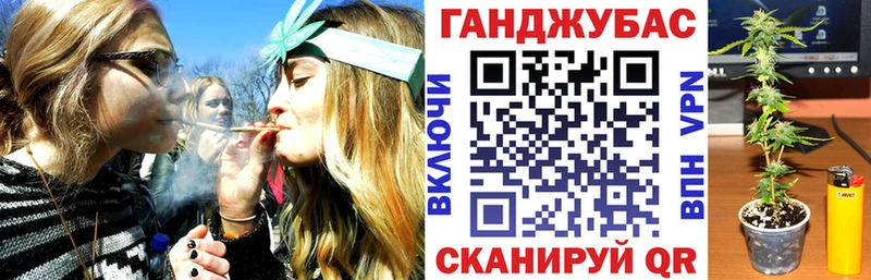 Конопля OG Kush  Купить где  Кашира 